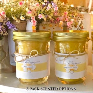 Pure Beeswax Non Toxic  Candles