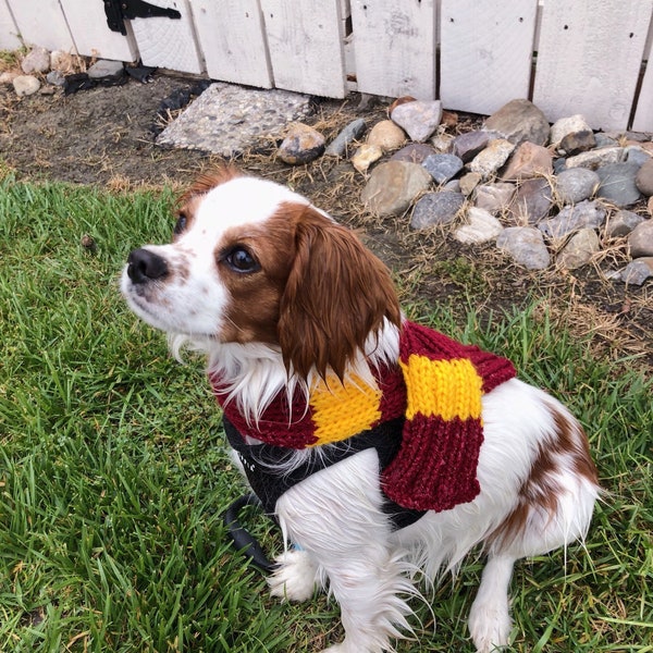 Wizard Scarf for Dogs: MEDIUM