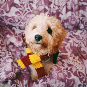 Wizard House Scarf for Dogs: SMALL | Dog Costume | Dog Clothes | Puppy Outfit