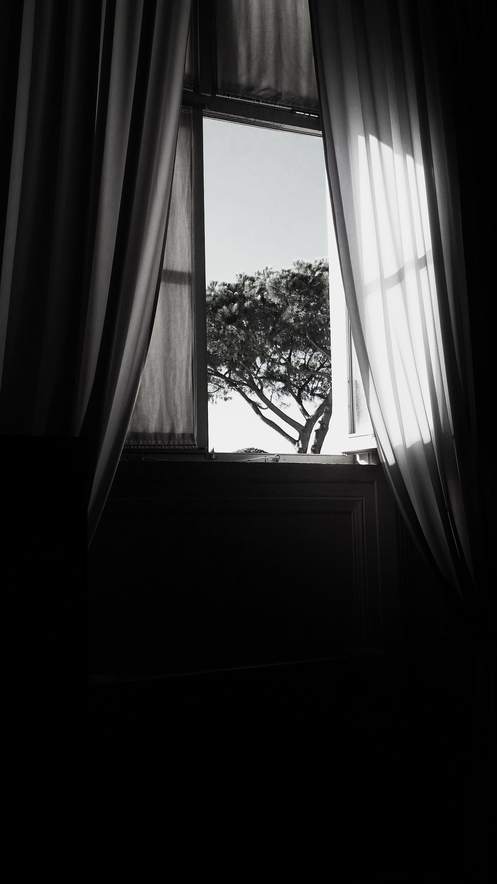 Opened Window Black and White Photography, Open Window and Tree Outside,  White Curtains, Black Background, Vatican, Rome Printable Wall Artt - Etsy