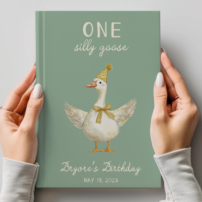 Puede incluir: Una portada de libro verde con las palabras "ONE silly goose" y "Bryore's Birthday" en escritura blanca. Una ilustraci&oacute;n de acuarela de un ganso con un gorro de fiesta y una pajarita est&aacute; centrada en la portada. La fecha "MAY 19, 2025" est&aacute; impresa debajo.