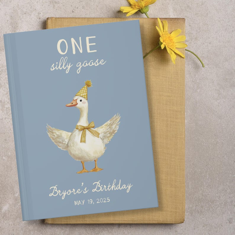 Puede incluir: Un libro azul claro con el texto "ONE silly goose" y una ilustraci&oacute;n de un ganso con gorro de fiesta y pajarita. El texto "Bryore's Birthday" y la fecha "MAY 19, 2025" tambi&eacute;n est&aacute;n en la portada. Una flor amarilla est&aacute; en el fondo.