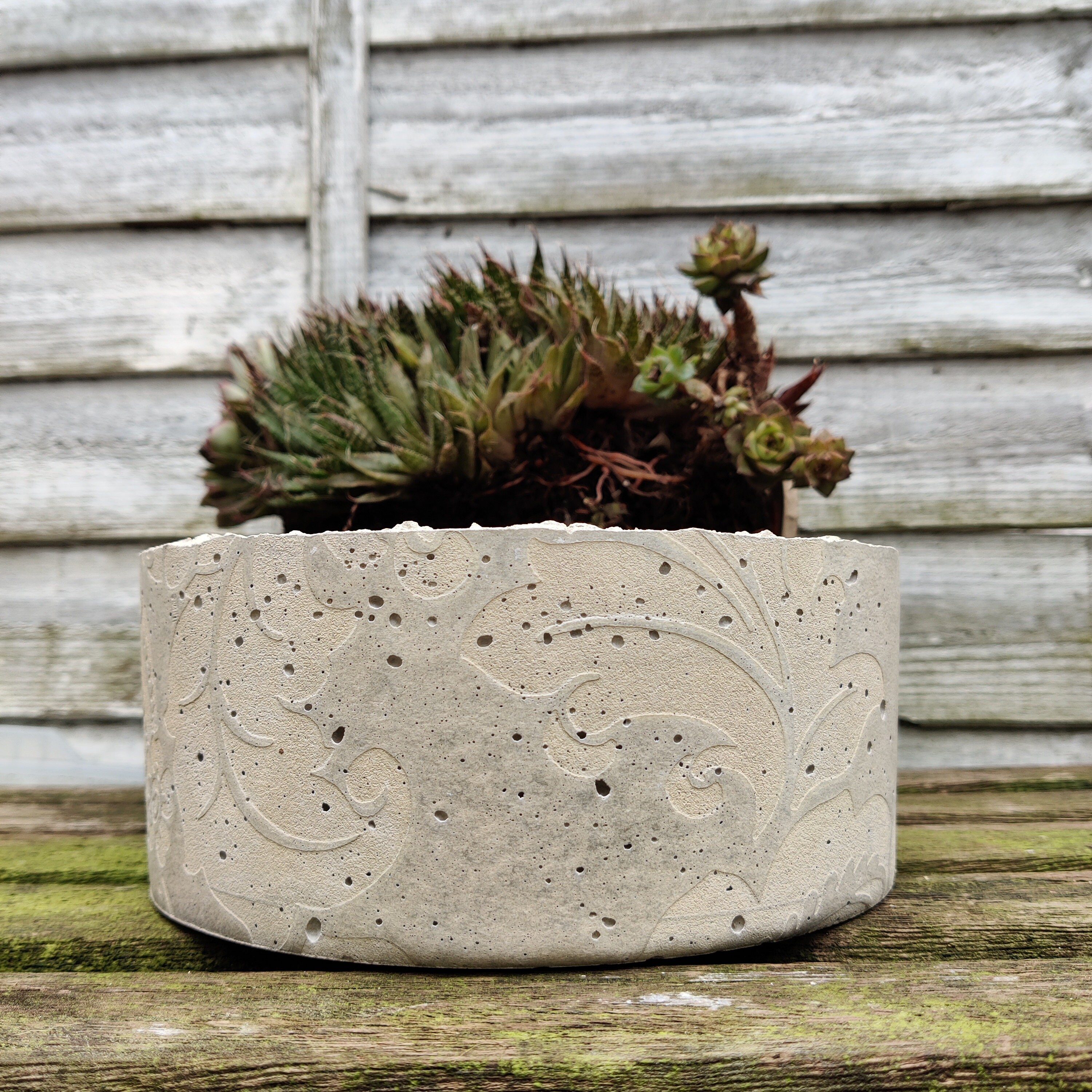Handmade Large Textured Concrete Bowl/Planter. Cement planter Etsy