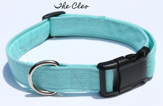 baby blue puppy collar