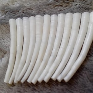 May include: A collection of eleven identical, slightly curved, cylindrical white plastic tubes arranged in a parallel row. Each tube features a smooth, opaque surface with subtle, evenly spaced horizontal ridges along its entire length.