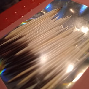 Può includere: Una collezione di aculei lunghi, sottili e appuntiti disposti in formazione parallela. Ogni aculeo presenta un motivo a gradiente di colore, che passa da una base marrone scuro o nera a una punta affilata di colore bianco sporco o crema.