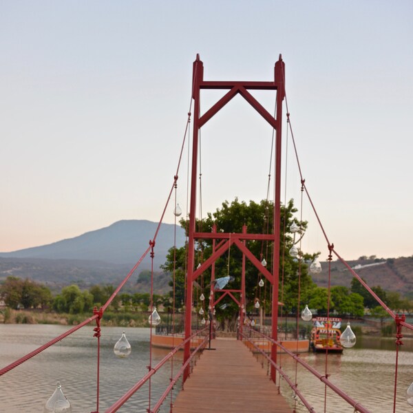 Tequila Fortaleza Etsy