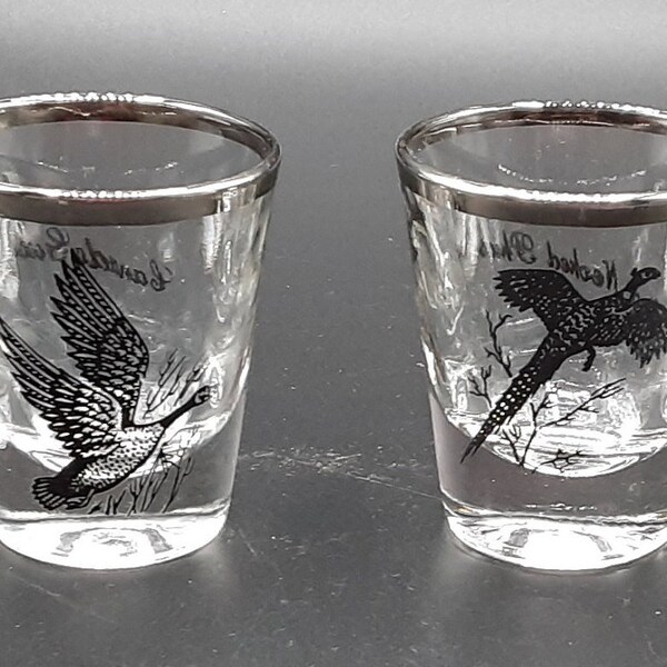 Vintage Clear Glass Shot Glasses Set of 4 with Silver Lining and Geese/Pheasants