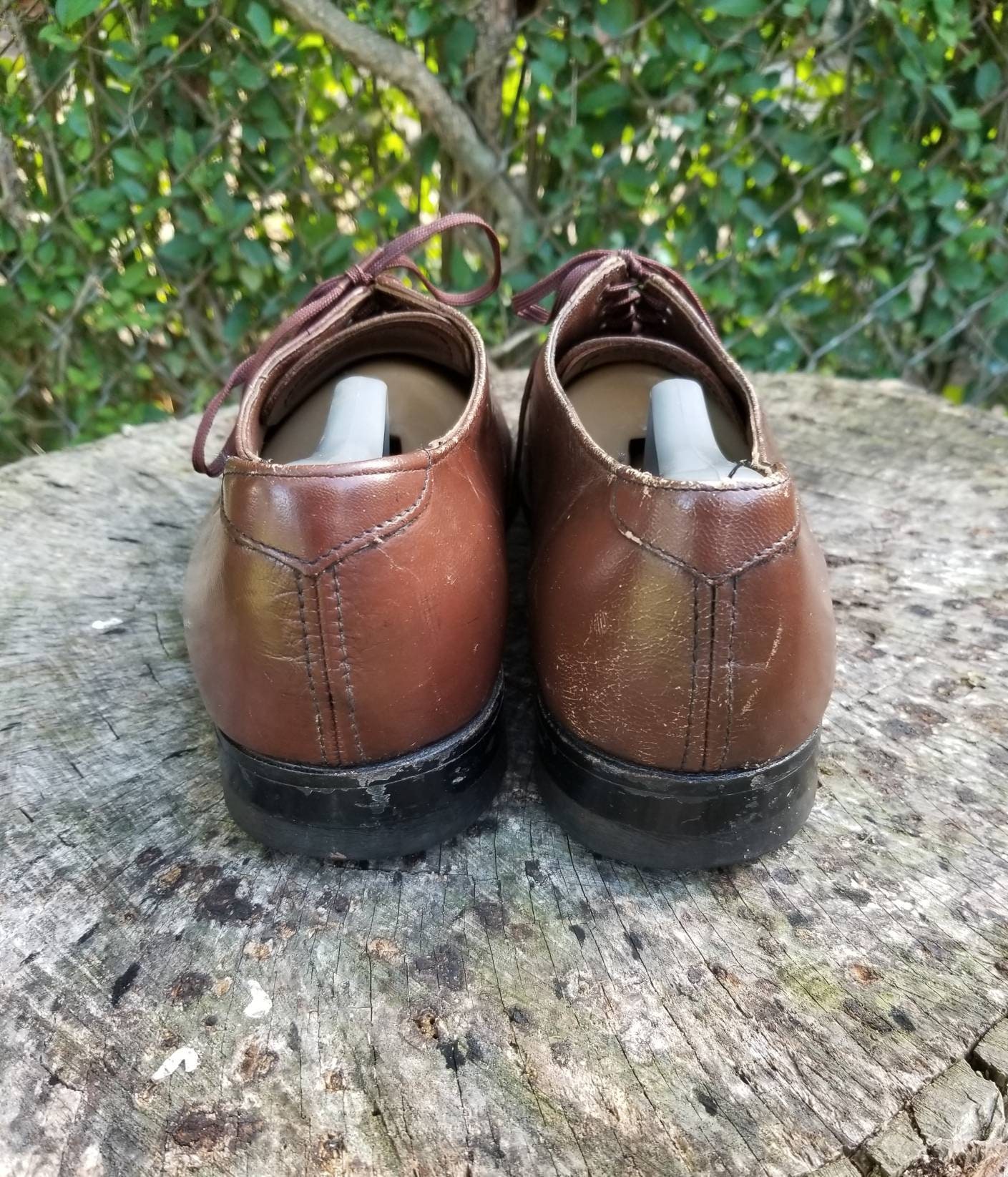 Sz 11.5 Vintage Wingtip Shoes Stacy Adams 70s Vintage Stacy Adams Wingtip Oxfords: Brown Leather Lace up  main image 2