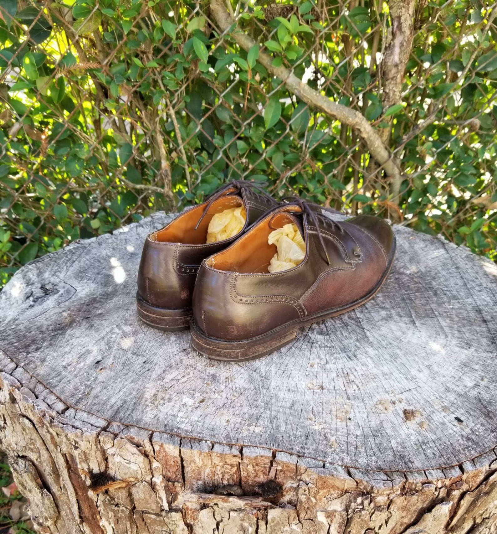 florsheim cleveland cap toe oxford