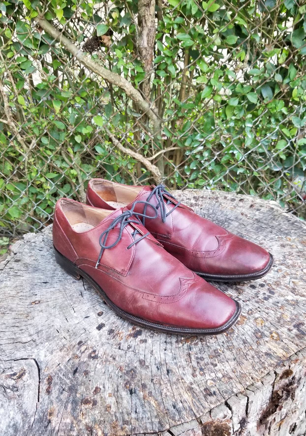 Sz 11 Johnston and Murphy Wingtip Dress Shoes /genuine 