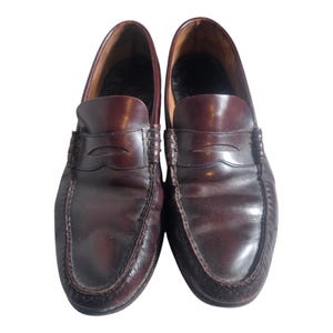 May include: A pair of brown leather loafers with a penny strap detail. The loafers have a slightly pointed toe and a stitched edge.