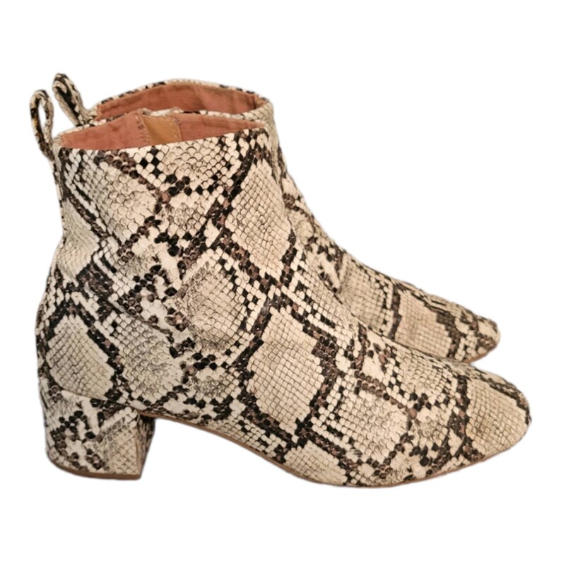 May include: A pair of ankle boots with a snakeskin pattern. The boots have a block heel and a pointed toe.