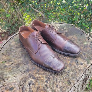 May include: A pair of brown leather shoes with alligator skin toe caps. The shoes have lace-up closures and are sitting on a tree stump.