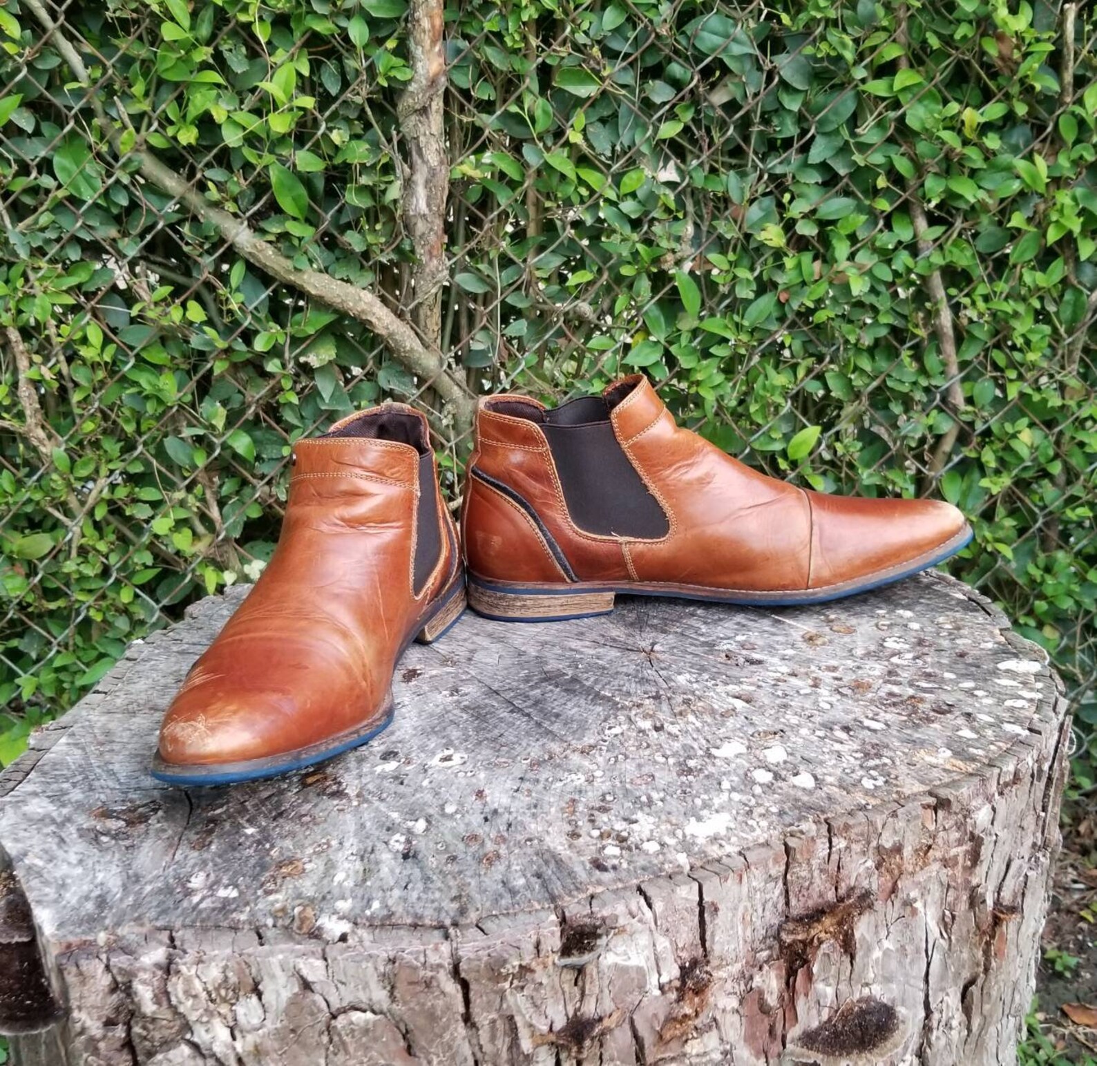 bullboxer navos cap toe boot