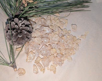 Pine Resin Tears (Pinus strobus,)