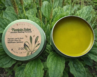Organic Plantain Salve Balm Ointment