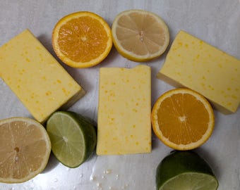 Citrus Blast Bison Tallow Soap Bars
