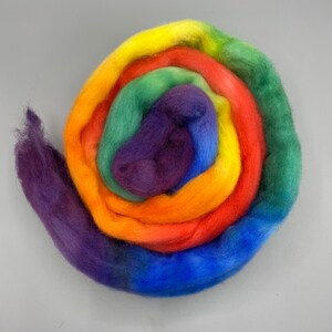 May include: A rainbow colored roving of wool yarn, rolled into a spiral shape. The colors are yellow, orange, red, blue, green, and purple.