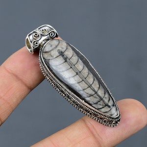 Orthoceras Fossil Pendant 925 Sterling Silver Pendant Beautiful Vintage Pendant Gemstone Pendant Handmade Pendant Designer Jewelry For Gift