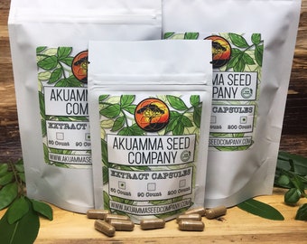 Akuamma Semilla en polvo 20-1 Extracto en cápsulas (Picralima Nitida)