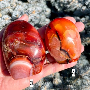 CARNELIAN FREEFORM, Choice of 4, Druzy Quartz Veins, Red Natural Stone, Crystal, Handcrafted, Root Chakra Spiritual Gift