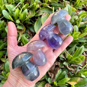 RAINBOW FLUORITE MUSHROOM, Choice, Polished Crystal Natural Stone, Purple Green Blue, Spiritual Gifts