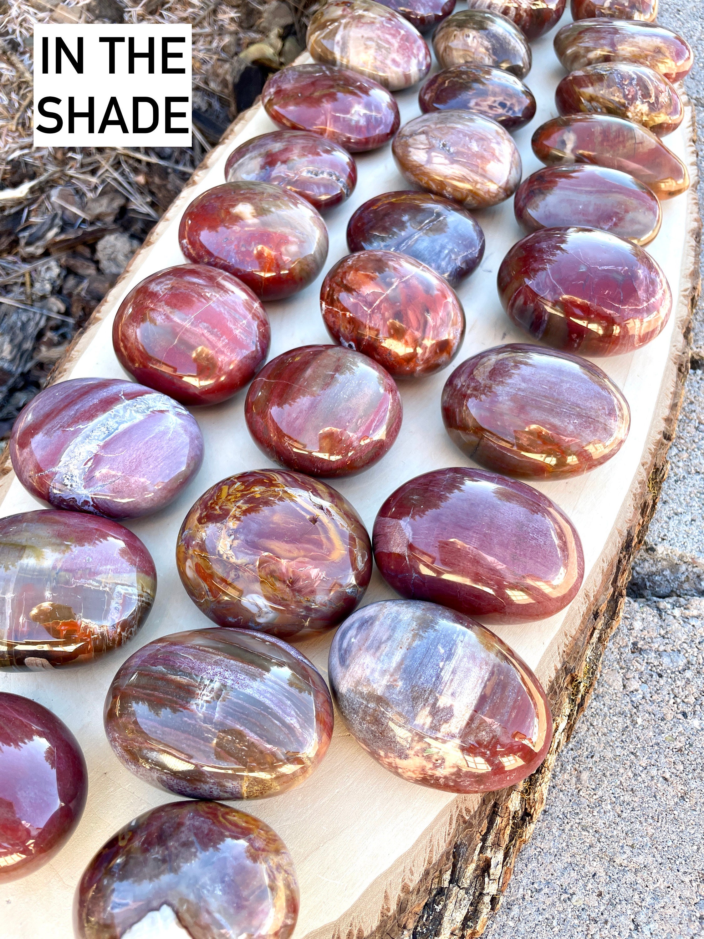 Petrified wood stone - Etsy 日本