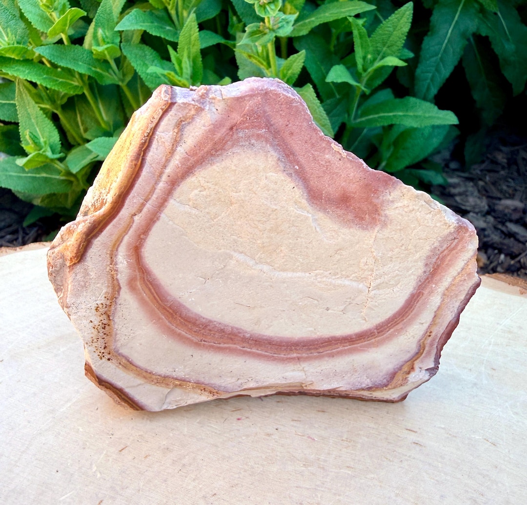 RAW NEVADA WONDERSTONE Specimen 8.8 Oz, Banded Rhyolite Jasper Rock ...