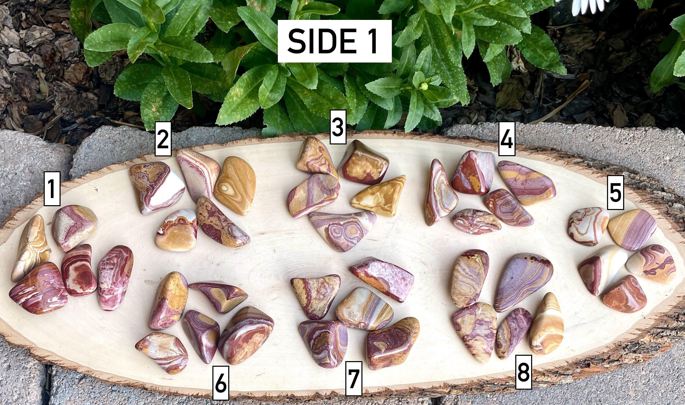 NEVADA WONDERSTONE LOT, Choice, Medium Polished Tumbled, Rhyolite ...