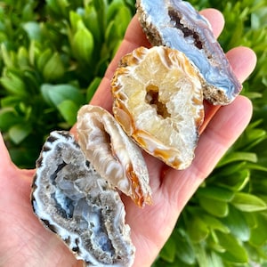 OCO AGATE GEODE, Choice, Crystal Druzy Half, Crystalized Natural Stone, Ocos