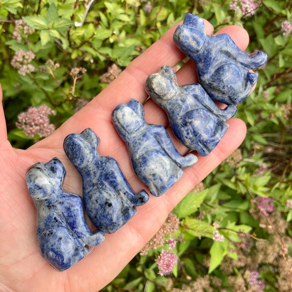 SODALITE DOG, 2" Choice, Carved Stone, Crystal Carving, Puppy, Spirit Animal, Spiritual Gifts