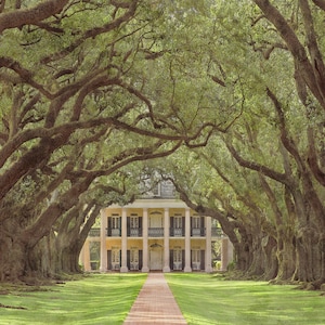 Interview with the Vampire, Oak Alley Plantation Art Print. Wall Art. Poster Print, 3 Sizes. Anne Rice Fan Art. Oak Alley Art Print.