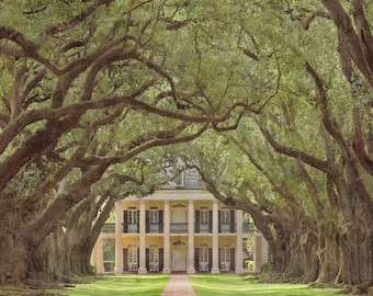 Interview with the Vampire, Oak Alley Plantation Canvas Poster. Wall Art. Canvas Poster Print, 3 Sizes. Anne Rice Fan Art. Canvas Poster.