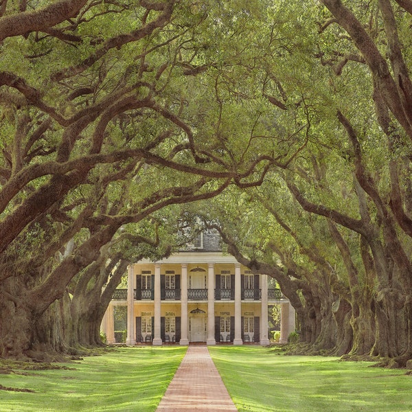 Interview with the Vampire, Oak Alley Plantation Canvas Poster. Wall Art. Canvas Poster Print, 3 Sizes. Anne Rice Fan Art. Canvas Poster.