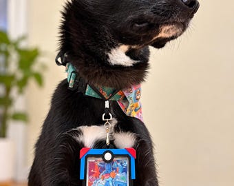 Pode incluir: Um cão preto com uma mancha branca no peito usa uma coleira colorida estampada e um porta-cartões retangular. O suporte apresenta uma moldura azul, vermelha e branca que lembra uma Poké Ball e contém uma carta de personagem Mudkip.