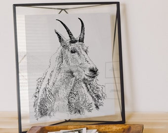 Goat Print, Goat Sheep Wall Art, Farm Animal, Animal Portrait, Goat Lovers