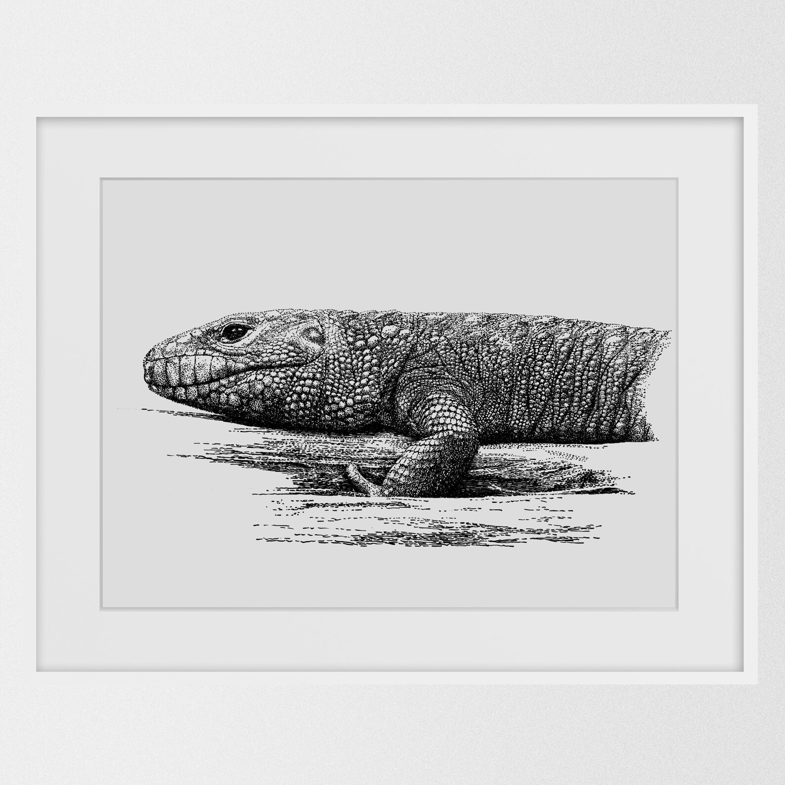 Reptile Print Reptile Poster Retile Decor Lizard Art | Etsy