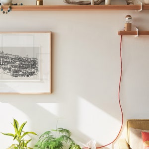 May include: A white wall with two wooden shelves, a framed black and white print of a city skyline, a potted green plant, a potted succulent, a pumpkin, a tissue box, a small metal object, and a red electrical cord running down the wall.
