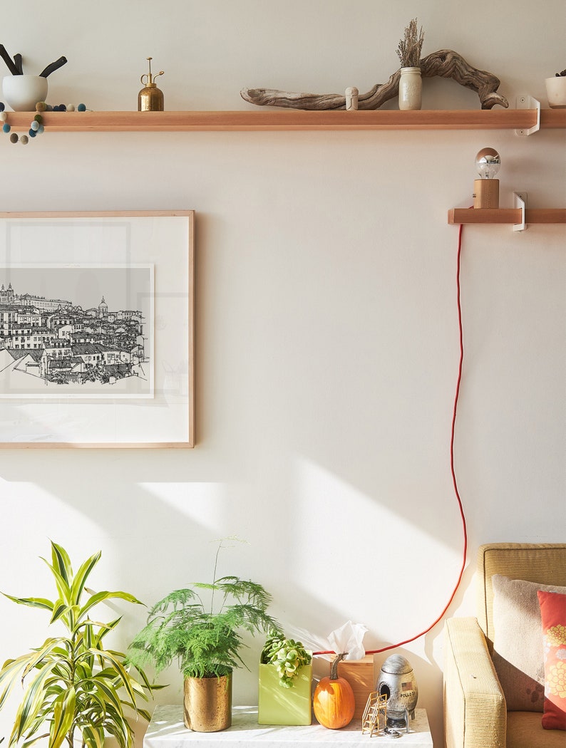 May include: A white wall with two wooden shelves, a framed black and white print of a city skyline, a potted green plant, a potted succulent, a pumpkin, a tissue box, a small metal object, and a red electrical cord running down the wall.