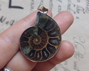 Fossil AMNNONITE PENDANT, lithotherapy stone