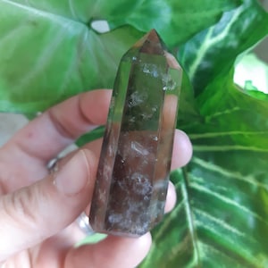 Può includere: Una punta di cristallo di quarzo affumicato con un aspetto chiaro e vetroso. Il cristallo è di colore marrone chiaro con un tocco di verde. È un cristallo naturale e ha una superficie ruvida e non levigata.