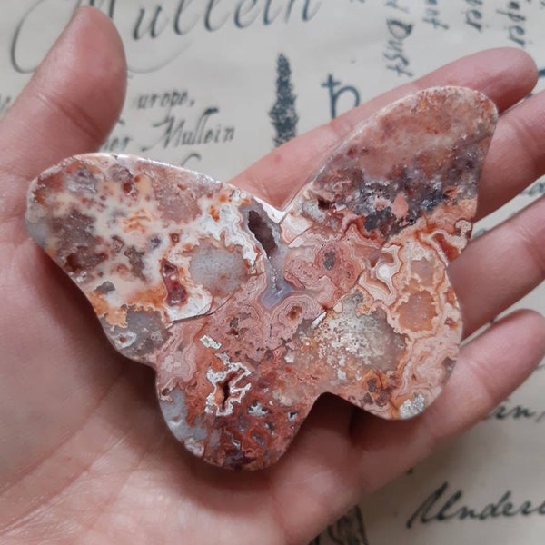 Totem PAPILLON AGATE crazy lace pierre naturelle .