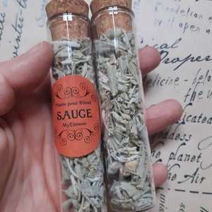 HERBS OF WITCHES