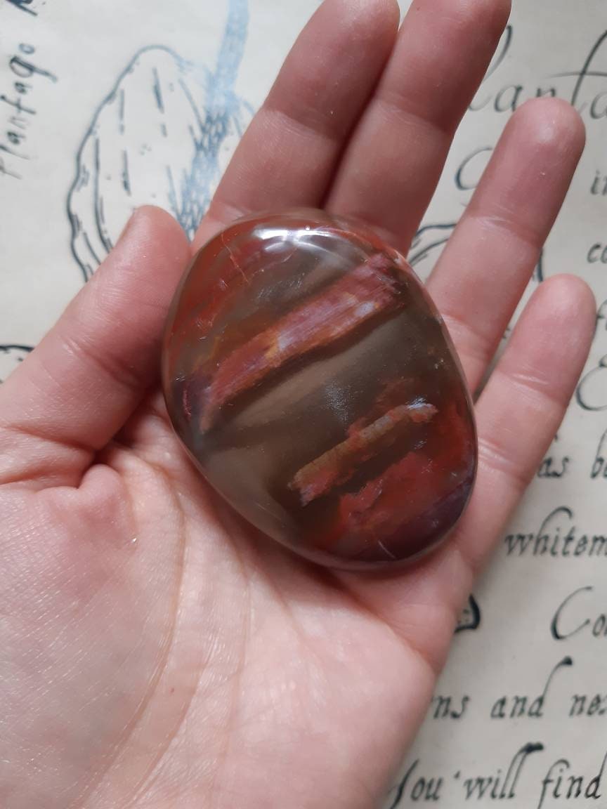 Galet Bois Fossile , Pierre Polie Pour Lithotherapie et Soins Énergétiques.