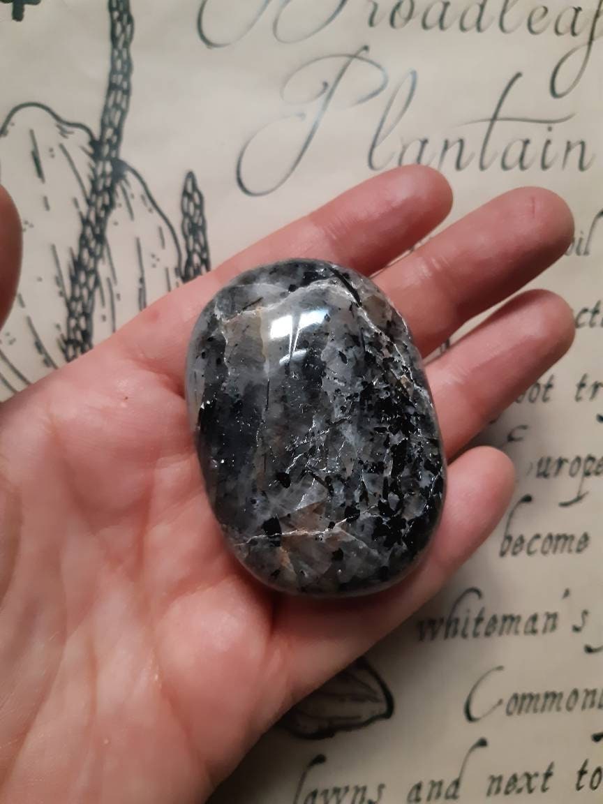 Galet de Quartz à Inclusions Tourmaline, Pierre Naturelle Pour Lithothérapie .