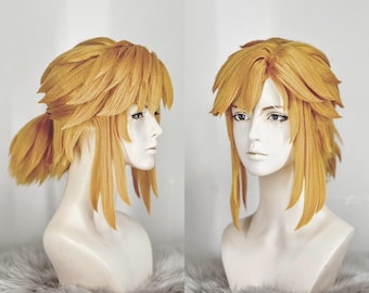 Link BotW inspired cosplay wig
