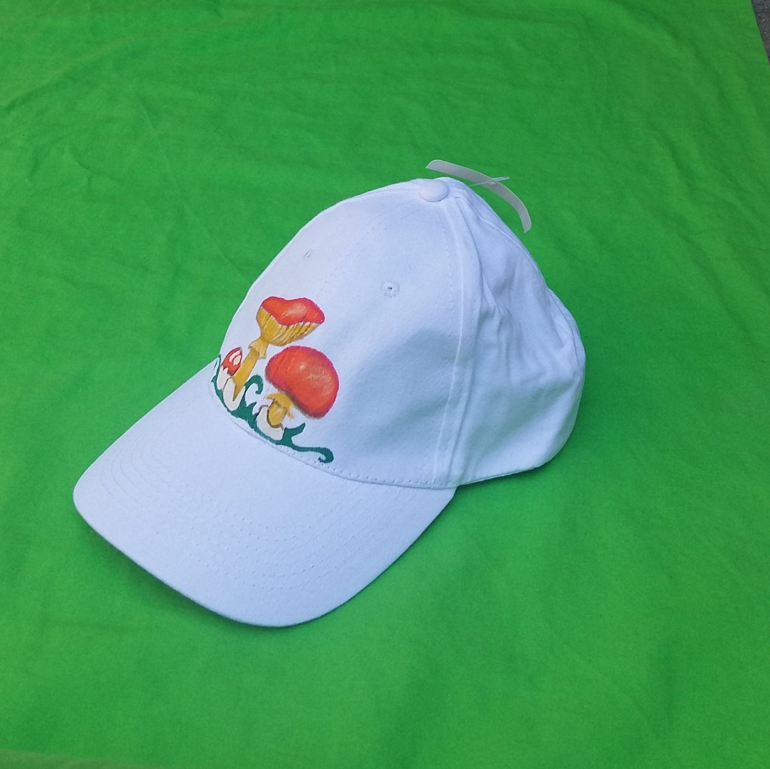 Painted hat Amanita Mushroom hats adults Cool hats Fungi Etsy