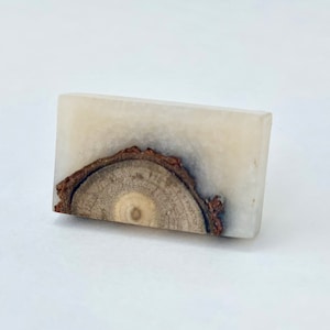 May include: A rectangular, clear resin block with a section of a tree trunk embedded within. The wood features concentric growth rings and a dark brown bark edge. The resin has a milky white appearance.