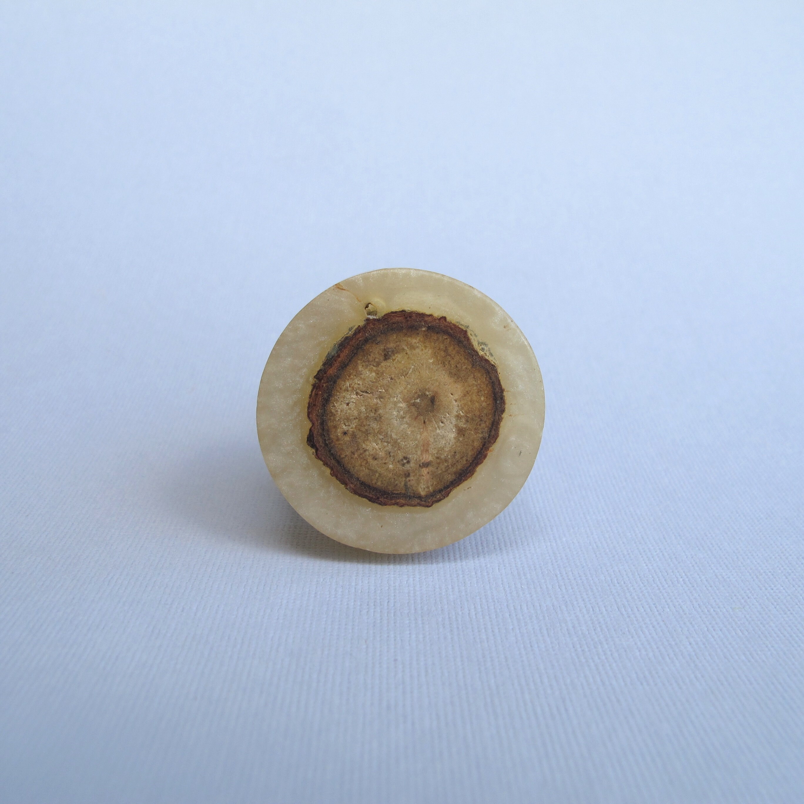 Geia Knob - Round Wood - Unique Cabinet Pull, Decorative Knobs, Dresser Knobs, Drawer Pulls